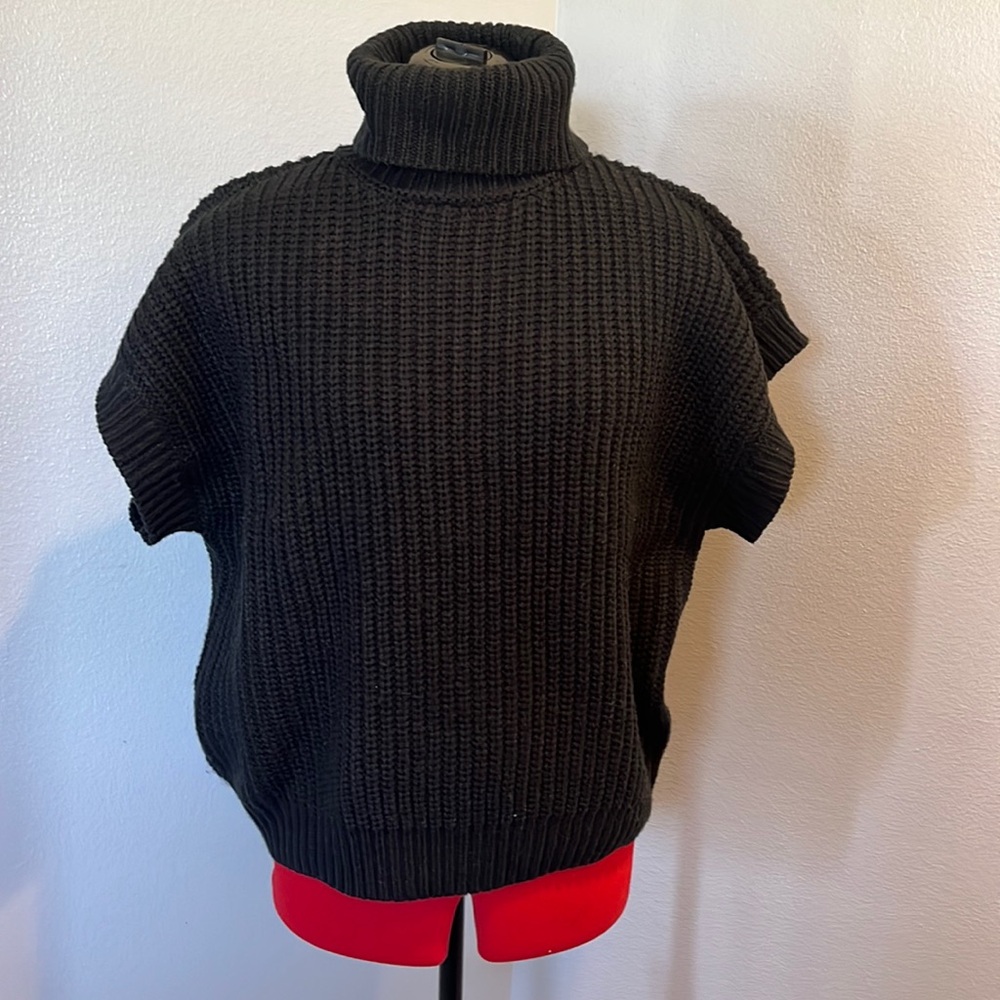 Short sleeve, chunky knit turtle neck sweater